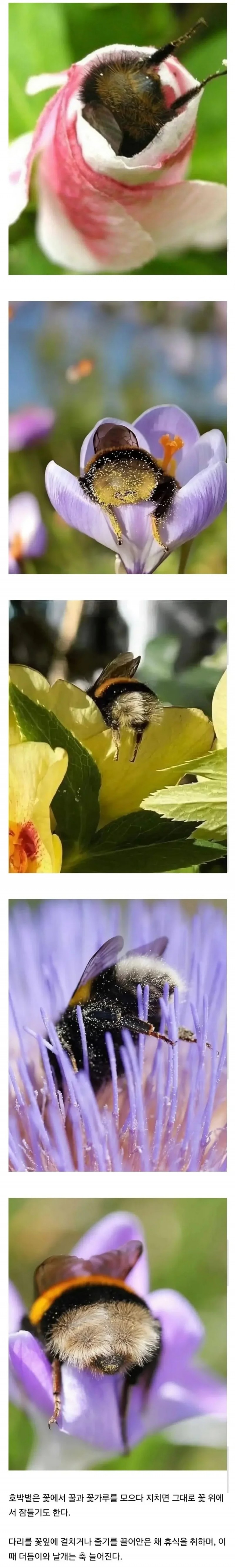 3f2b31b87e8829a453831ecdd9f52672_1757297637_9527.jpg
